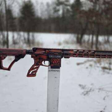 AR15 300 BLACKOUT BEAR WHISPERER LIMITED EDITION RIFLE 1 OF 10 2025 Model