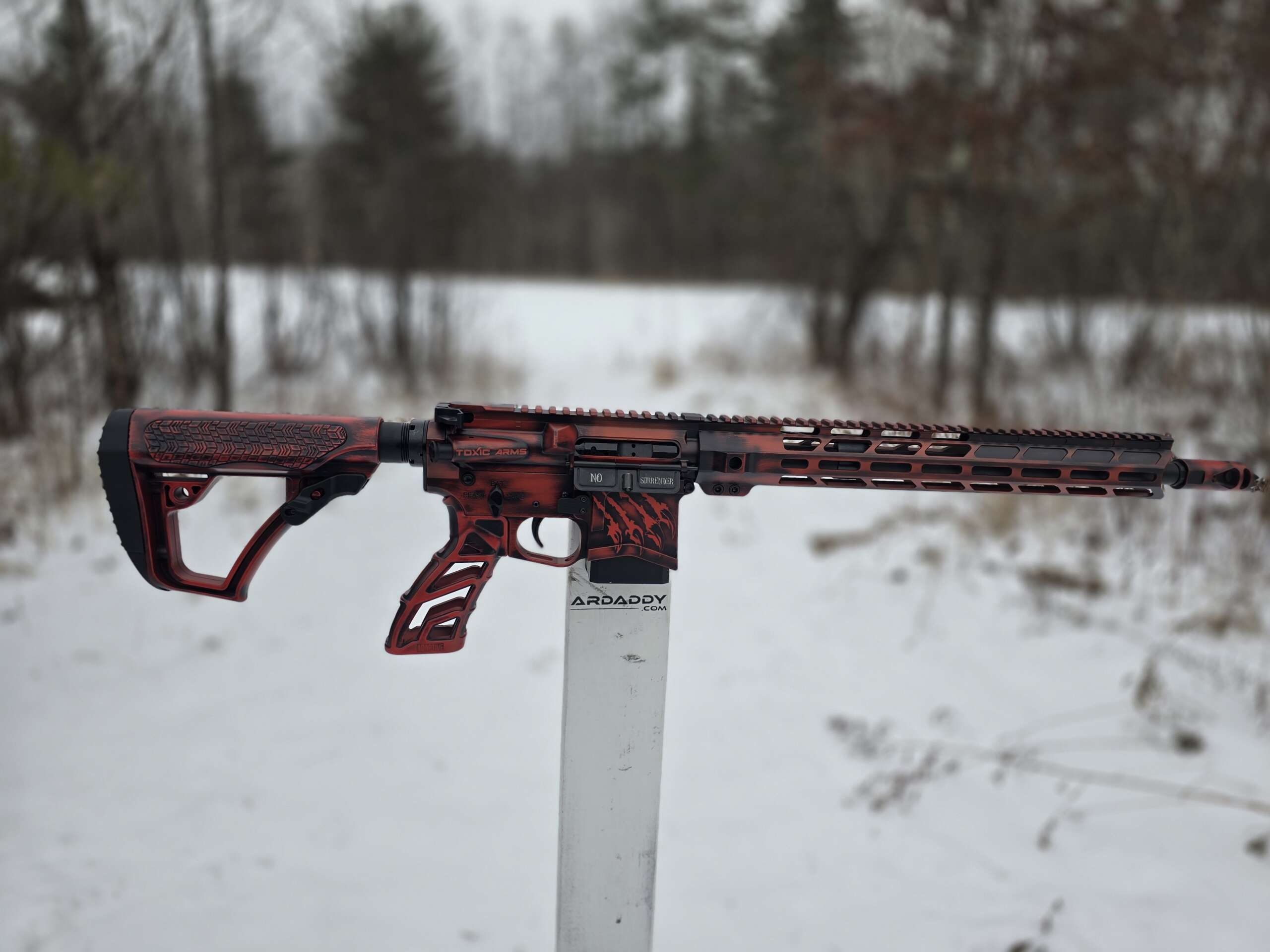 AR15 300 BLACKOUT BEAR WHISPERER LIMITED EDITION RIFLE 1 OF 10 2025 Model