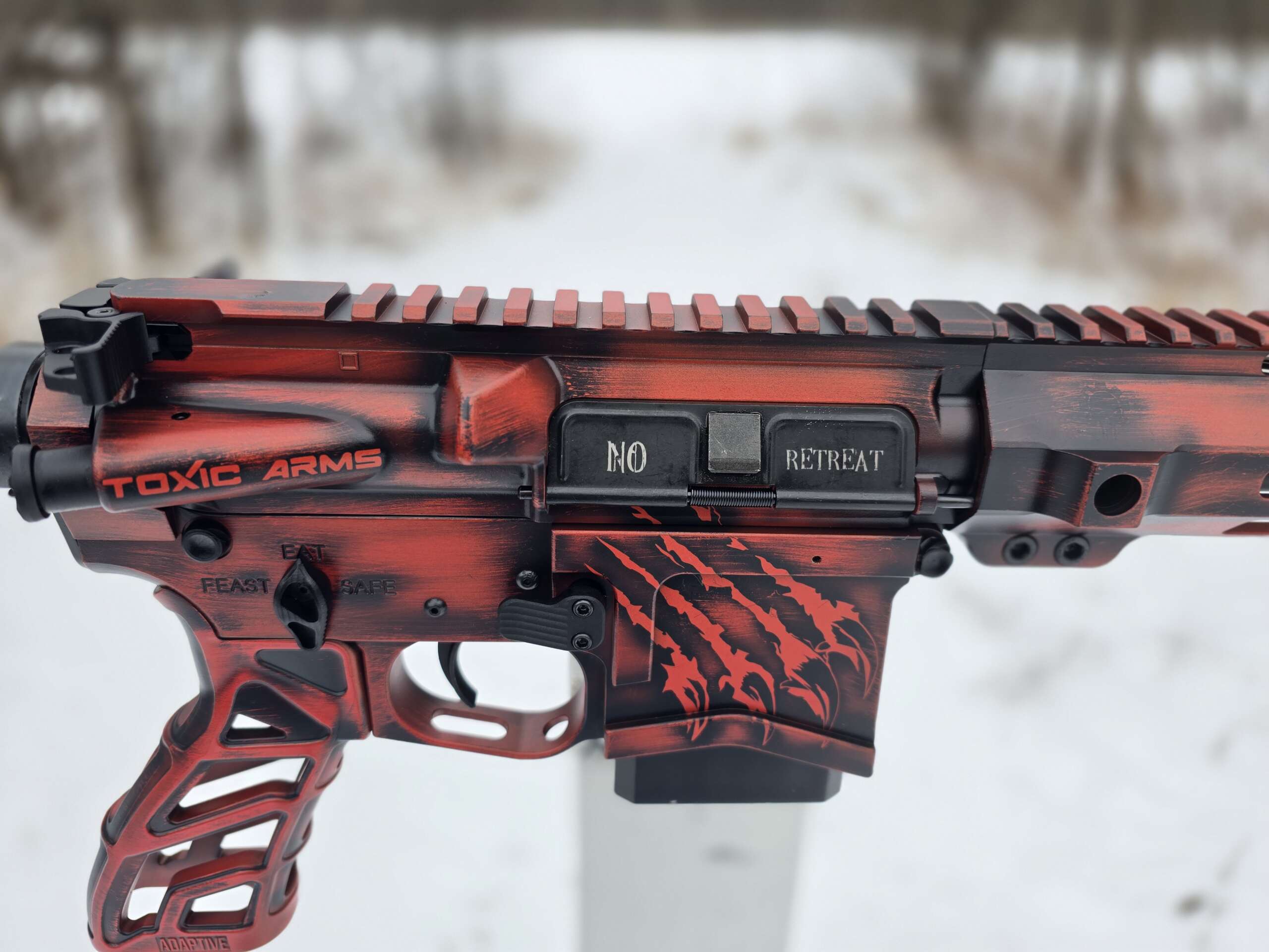 AR15 300 BLACKOUT BEAR WHISPERER LIMITED EDITION RIFLE 1 OF 10 2025 Model - Image 3