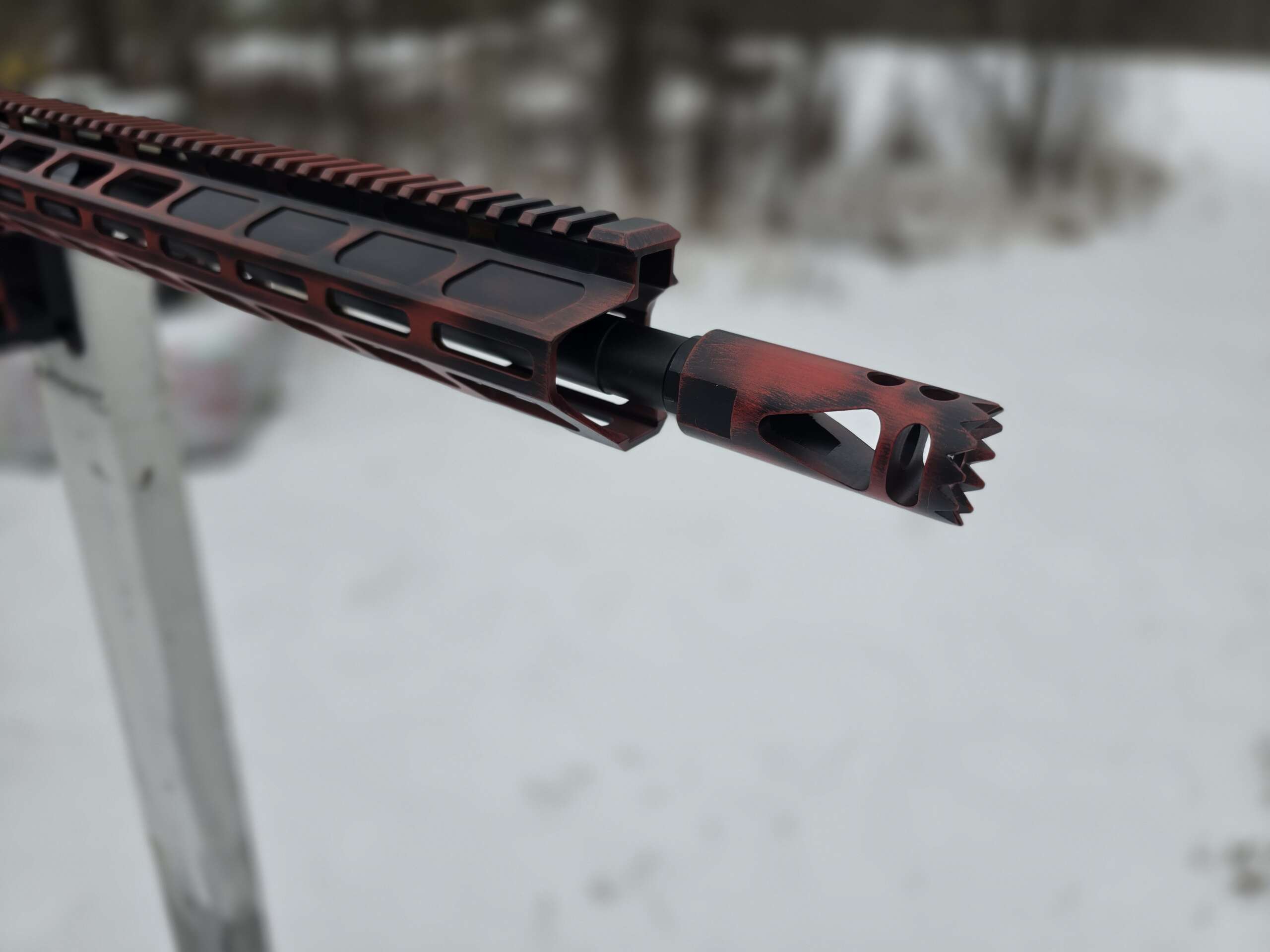 AR15 300 BLACKOUT BEAR WHISPERER LIMITED EDITION RIFLE 1 OF 10 2025 Model - Image 5